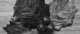 Mistletoe Hair Clip photo 0