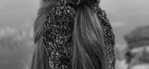 Katie Scarf Scunchie image 0